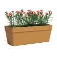 Plant pot Artevasi 57,9 x 24,3 x 22 cm Yellow Supply