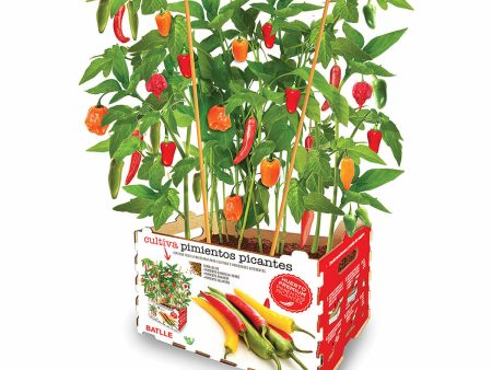 Cultivation Set Batlle Peppers Spicy 30 x 19,5 x 16,2 cm Online Hot Sale