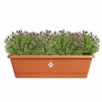 Plant pot Elho Brown 65 x 20 x 18 cm Plastic Squared For Cheap