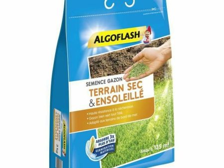 Seeds Algoflash Semsol3 Grass Mediterranean 3 Kg For Sale