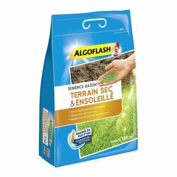 Seeds Algoflash Semsol3 Grass Mediterranean 3 Kg For Sale