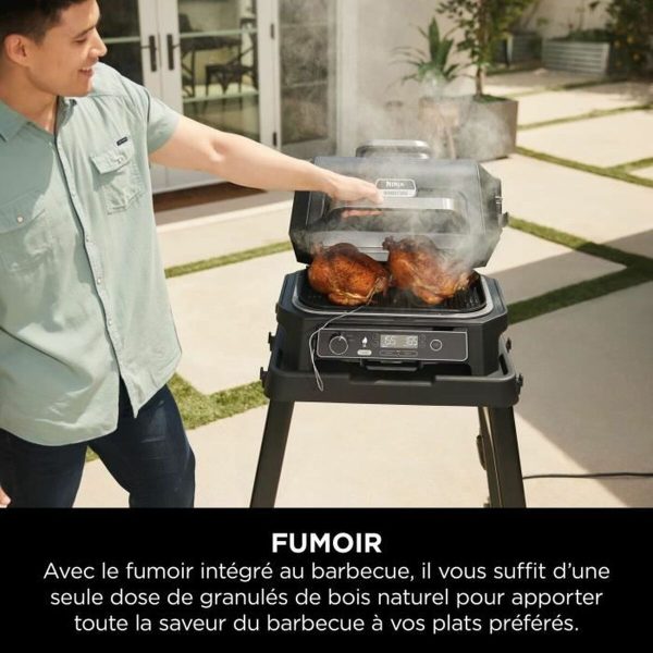 Barbecue Portable NINJA OG850EU Online