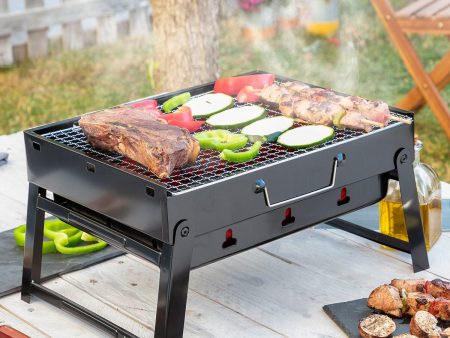 Folding Portable Barbecue for use with Charcoal BearBQ InnovaGoods For Sale