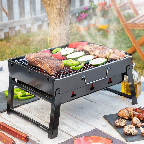 Folding Portable Barbecue for use with Charcoal BearBQ InnovaGoods For Sale