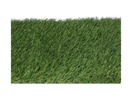 Astro-turf EDM 75834 gracefull Green 1 x 5 m Online